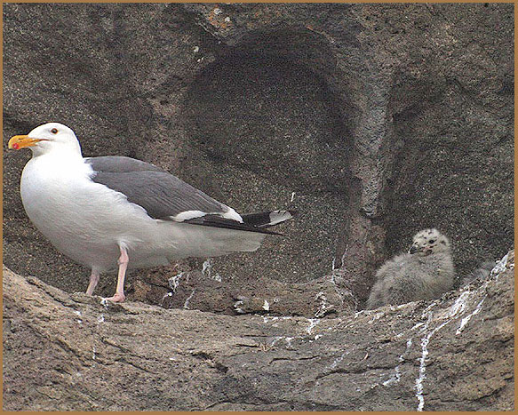 Then there were none...